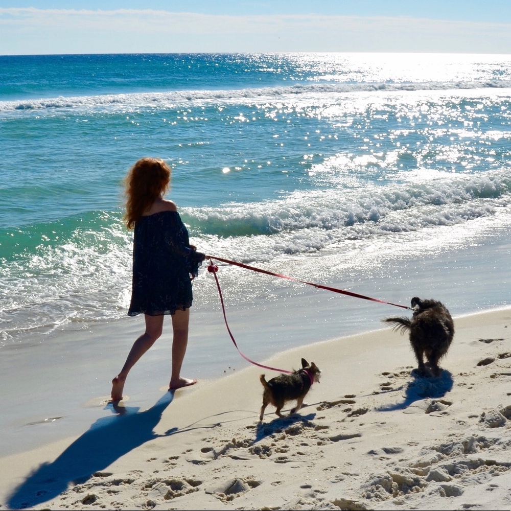 Meet your Posher, Wendy